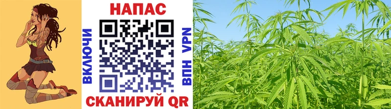 Сколько стоит Николаевск МАРИХУАНА  Меф мяу мяу  COCAIN  ГАШИШ 
