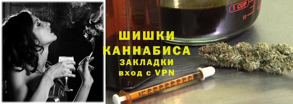 ПСИЛОЦИБИНОВЫЕ ГРИБЫ Арсеньев
