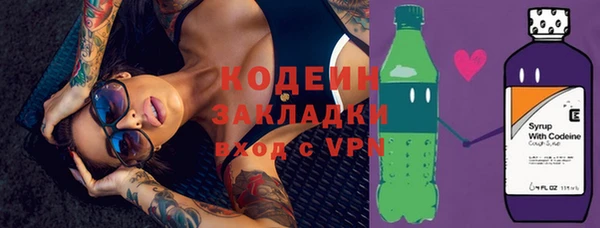 ПСИЛОЦИБИНОВЫЕ ГРИБЫ Арсеньев