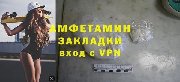шишки Аркадак