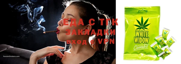 шишки Аркадак