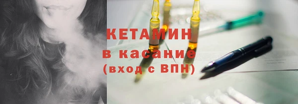 шишки Аркадак