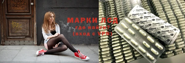 шишки Аркадак