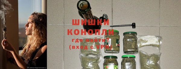 шишки Аркадак